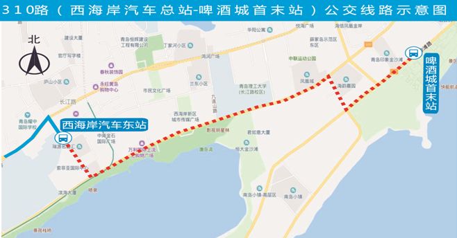 不止跨海大桥免费,还有免费接驳公交!青岛啤酒节公交攻略来了!速收藏!