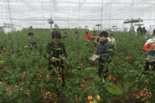 微信图片_20180727141915.gif 微信图片_20180727141915.gif