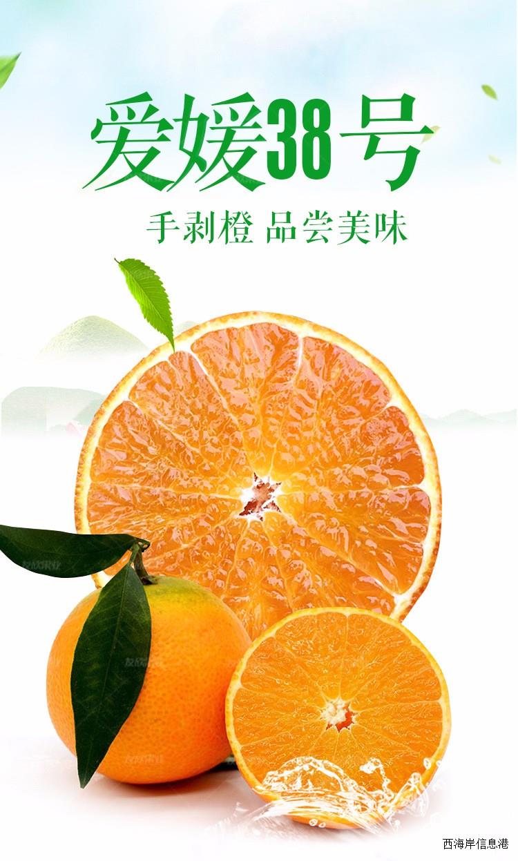 果冻橙.jpg