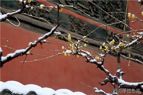 趵突泉5.jpg