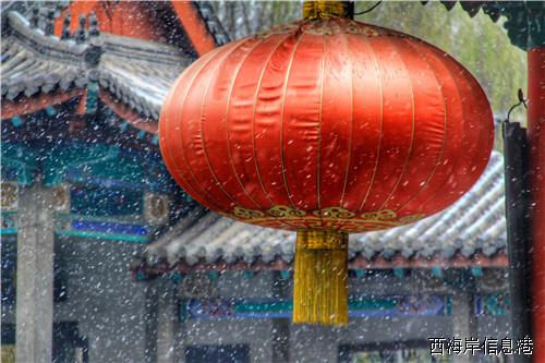 趵突泉7.jpg