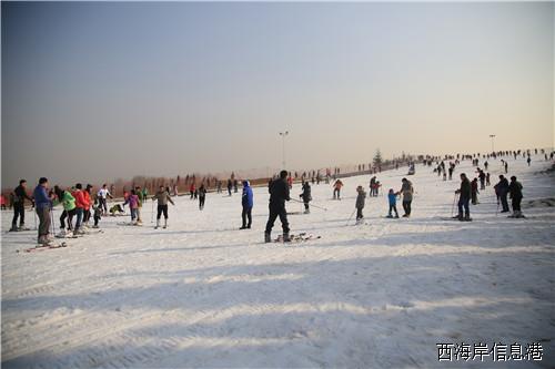 香草园滑雪 (1).jpg