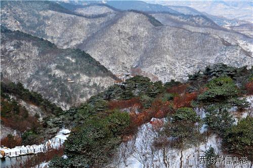 九如山 (2).jpg